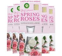 NPD Stacey Solomon Reeds