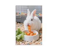 NPEJLCIGH A Domestic Rabbit in The Food Bowl, Eating Carrot Pieces Greedily Modern Hanging Wall Decor - Artistic Mural Print08x12inch(20x30cm)