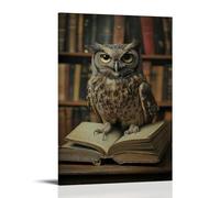 NPEJLCIGH Art Animals- Owl Librarians Shushing Noisy Midnight Bookworms Modern Hanging Wall Decor - Artistic Mural Print24x36inch(60x90cm)