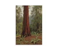 NPEJLCIGH Redwood Forest Scenic Tall Trunks Modern Hanging Wall Decor - Artistic Mural Print24x36inch(60x90cm)