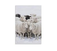 NPEJLCIGH Sheep Huddle Together, Wool White As Snow Modern Hanging Wall Decor - Artistic Mural Print20x30inch(50x75cm)