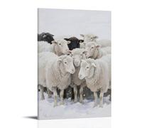 NPEJLCIGH Sheep Huddle Together, Wool White As Snow Modern Hanging Wall Decor - Artistic Mural Print24x36inch(60x90cm)