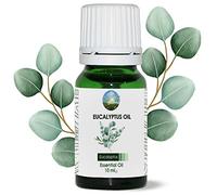 NPOW Eucalyptus Essential Oil Blends - Pure Essential Oils for Diffusers, Eucalyptus-Oil, Aromatherapy Oils, Pure Scented Sauna Oil for Inhaling, Relaxation, Massage Therapy, Home Essentials - 10ml