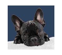 NPRZM 5D Diamond Painting,French Bulldog,Diamond Art Kits for Adults,Crystal Mosaic Craft Kits for Home Wall Decor 50x60CM