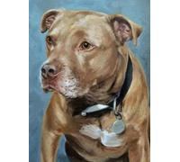 NPRZM 5D Diamond Painting Kits for Adults,Staffordshire Bull Terrier Dog Full Drill Crystal Rhinestone Diamond Art Gem Painting,Diamond Painting Animals for Home Wall Decor 30x40CM