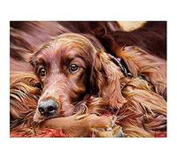 NPRZM Diamond Painting Kits for Adults Kids Beginners Kits Irish Setter Dog Gift Home Wall Decor 30x40cm