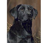 NPRZM Diamond Painting Kits for Adults, Kids Black Labrador DIY 5D Diamond Painting Arts Craft for Home Wall Decor Birthday Gifts 40x50CM