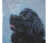 NPRZM DIY 5D Diamond Painting Kits Diamond Painting Adults Kid Newfoundland in The Snow Black Dog for Home Decoration Full Diamond Painting 30x40CM