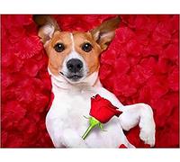 NPRZM DIY Diamond Painting Jack Russell Terrier Dog Full Round Rhinestone Embroidery Kit Home Decor Gift 40x40CM