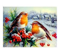 NPRZM Robin Bird Diamond Painting Kits for Adults Round Full Drill DIY Diamond Beads Arts Embroidery Craft 50x50CM