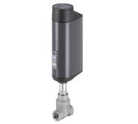NPT 2 inch Process Controller Stainless Steel Electric Globe Valve - 3361 - 20035184