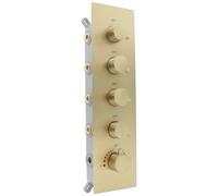 NPYSVSSS 4 Way Thermostatic Shower Valve, Concealed 4 outlet Shower Diverter Mixing Valve, Can Run Together and The Flow Can Be Controlled with Bathroom Shower System, Brushed Gold