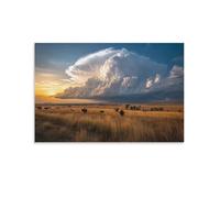 NQHXLRUDC Western Grassland Canvas Wall Art Picture Print Landscape High Definition Printing Landscape Giclee Artwork Natural for Living Room Bedroom 16x24inch(40x60cm)