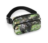 NQLYRE Waist Bag Crossbody Bag with Multiple Pockets with Adjustable Strap Travel Walking on Grass Printed Chest Bag Fanny Pack for Men Women for Sports, 20x13cm, style, style, 20x13cm, Belt Bag