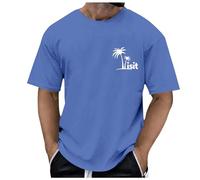 NQyIOS Casual Sports Short-Sleeved T-Shirt Loose Cotton Japanese Streetwear Hip Hop Unisex Graphic Tees Shirts for Men Summer Shirts for Men UK Mens Gym Shorts Blouses (Blue,XXL)