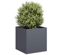 Nqyjm Anthracite, cold rolled steel planter, 40 x 40 x 40 cm, strong and durable, for vegetables, herbs and gardens