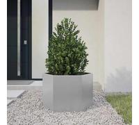 Nqyjm Hexagonal Galvanised Steel Planter 69 x 60 x 45 cm Flower Bed, Strong and Durable, for Vegetables, Herbs and Gardens