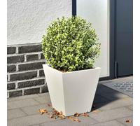 Nqyjm Hexagonal Planter White Steel 30 x 30 x 30 cm Raised Garden Bed, Sturdy and Durable, for Vegetables, Herbs and Gardens