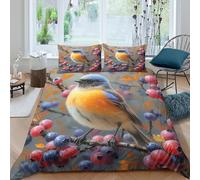 NRAOPEVVD Robin Bird Duvet Cover Set 3 PCS Hotel Quality Quilt Cover Bedding Bed Covers with Pillowcases with Zipper Closure Breathable Stylish Comforter Double（200x200cm）