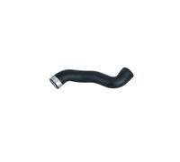 NRF 166032 Charger intake hose