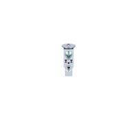 NRF 38585 AC expansion valve