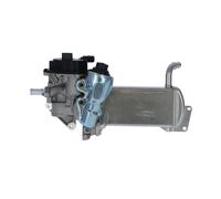 NRF 48201 EGR Module