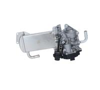 NRF 48209 EGR Module