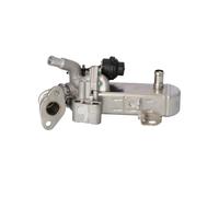 NRF 48212 EGR Module