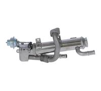NRF 48311 EGR Module