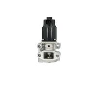 NRF 48653 EGR valve