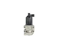 NRF 48713 EGR valve