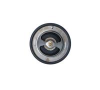 NRF 725134 Thermostat