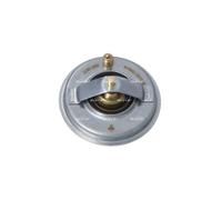 NRF 725210 Thermostat