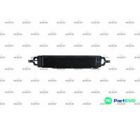 NRF AUTOMATIC TRANSMISSION OIL COOLER 31809 FOR MINI