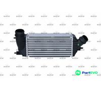 NRF CHARGE AIR COOLER 30242