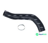NRF CHARGE AIR HOSE 166279