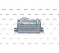NRF Oil Cooler - 31296