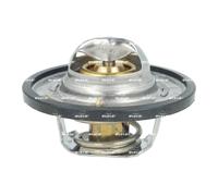 NRF 725528 Thermostat