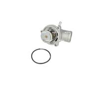 NRF 725290 Thermostat