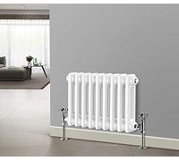 NRG 300 X 425 mm Gloss White 2 Column Radiators Horizontal Central Heating Cast Iron Rads for Bathroom Living Room and Kitchen