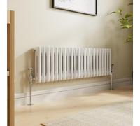 NRG 300x1010 Traditional Colosseum Cast Iron Bathroom Radiator Gloss White 2 Panel