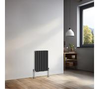 NRG 600x413mm Horizontal Oval Double Panel Radiator Heater Black