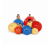 NRS Healthcare Gym Ball - 55 cm (21.5 inch) Diameter