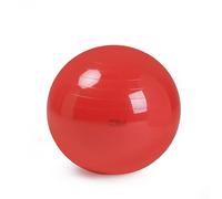 NRS Healthcare Gymnic Large Physio Ball - Swiss Gym Ball Core Stability Rehab, Balance Yoga Ball, Exercise Ball