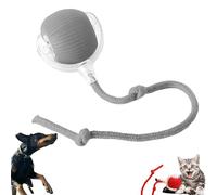 NRSW Chewie Ball for Dogs, Interactive Dog Toy, Automatic 360° Rotating Rolling Ball, Grey, Large Dogs