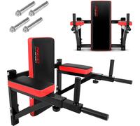NS-320 wall-mounted dip bar