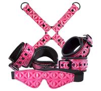 Sinful Bondage Kit Pink