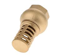 Nsaroche Female Thread Foot Valve Bottom Valve, Golden, DN25