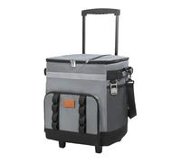 Nsaroche Rolling Suitcase with Wheels And Handle, Insulated for Barbecues on The Terrace Or Outdoors, Grey