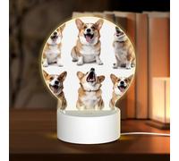 NSDdefAWCGT Acrylic Night Light Dogs from Different Angles Night Lamp with USB Bedside LED Night Light for Home Decorations Christmas Birthday Wedding Gifts